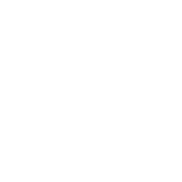 Summary Icon